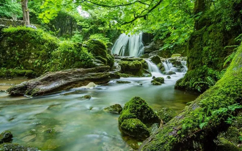 科技绿色高端
